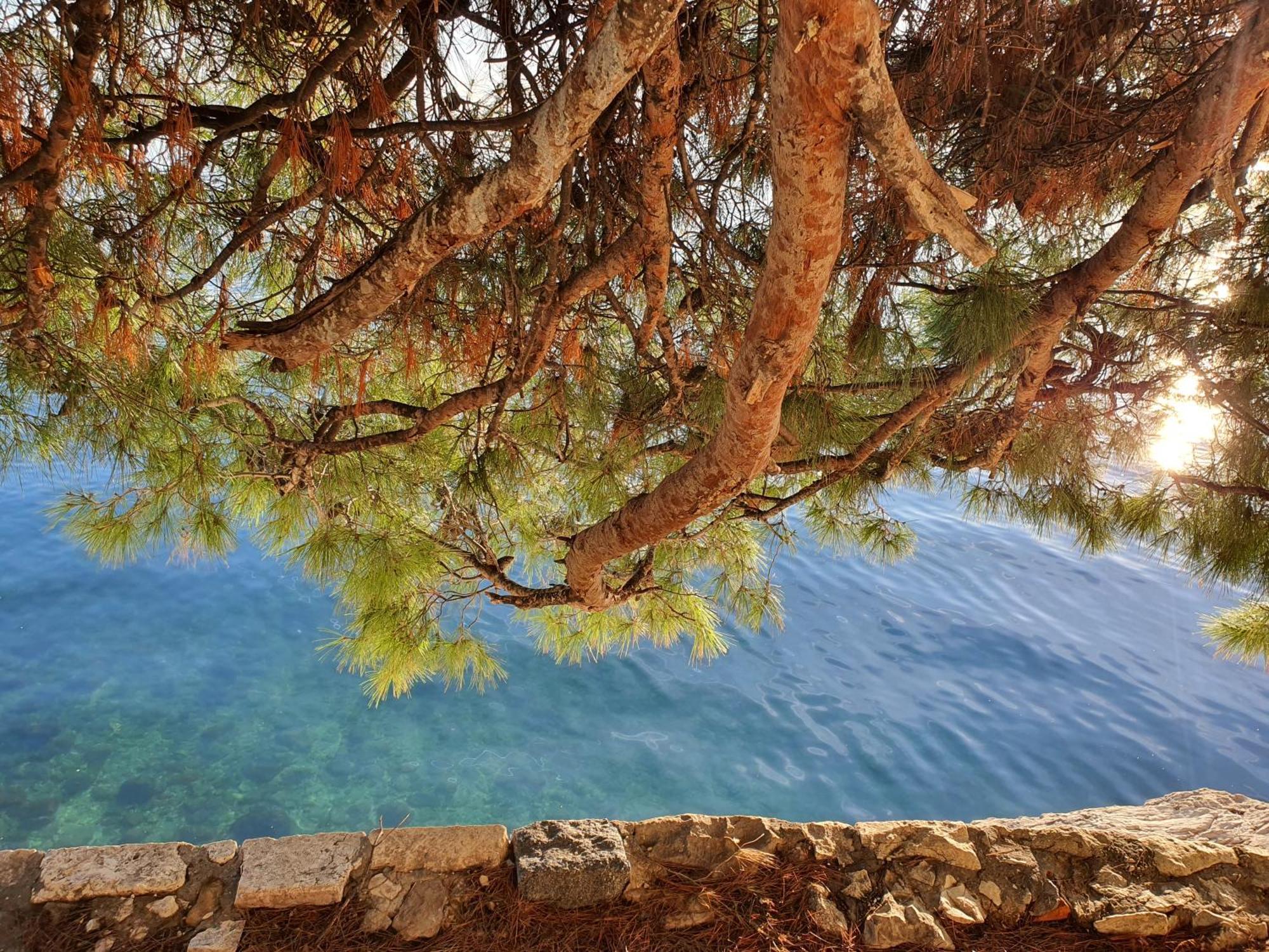 Violeta Hvar Hvar Town Extérieur photo